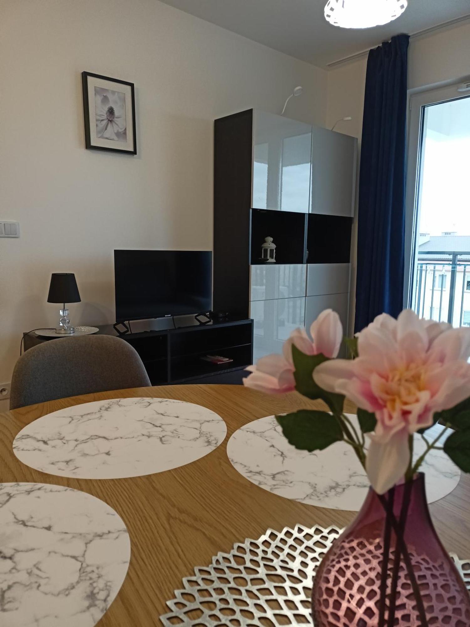 Lux Corner Park Przestronne Mieszkanie Z Klimatyzacja I Podziemnym Garazem Apartment *